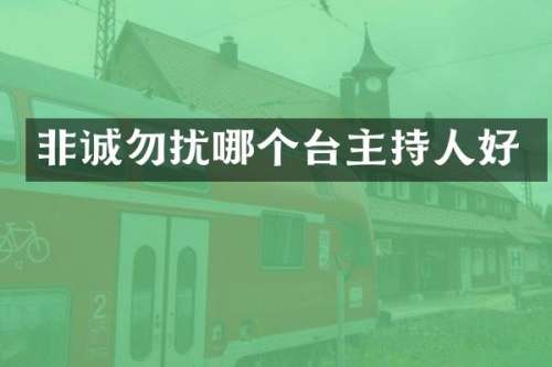 非诚勿扰哪个台主持人好