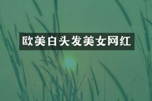 欧美白头发网红