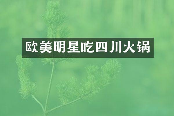 欧美明星吃四川火锅