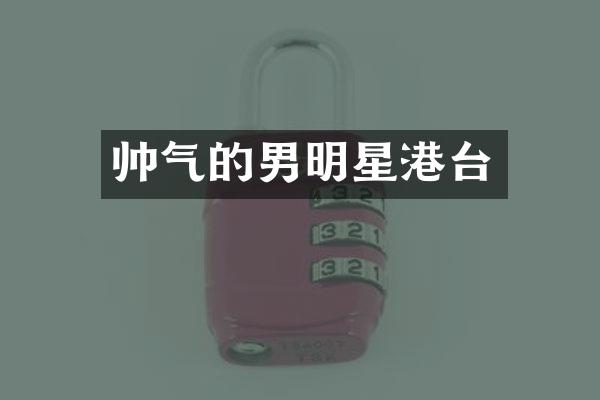 帅气的男明星港台