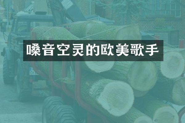 嗓音空灵的欧美歌手