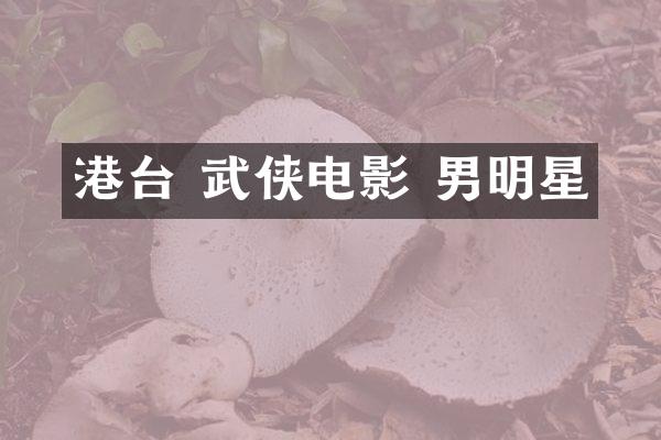港台 武侠电影 男明星