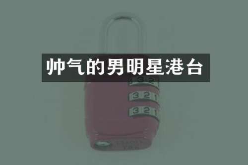 帅气的男明星港台