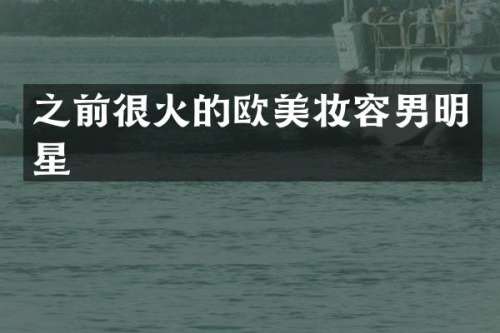 之前很火的欧美妆容男明星