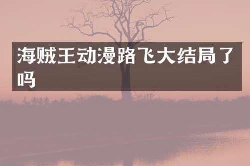 海贼王动漫路飞大结局了吗