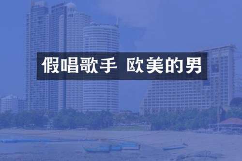 歌手 欧美的男