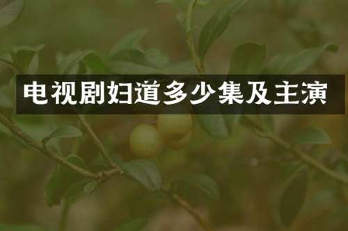 电视剧妇道多少集及主演
