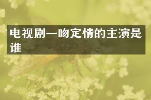 电视剧一吻定情的主演是谁