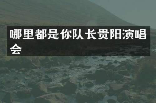 哪里都是你队长贵阳演唱会