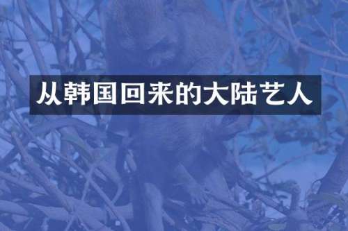 从韩国回来的大陆艺人
