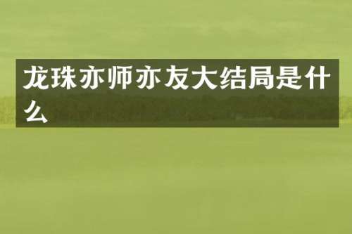 龙珠亦师亦友大结局是什么