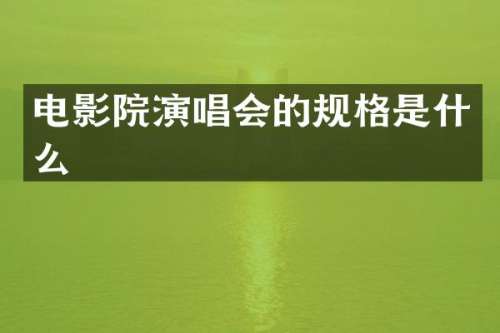 电影院演唱会的规格是什么