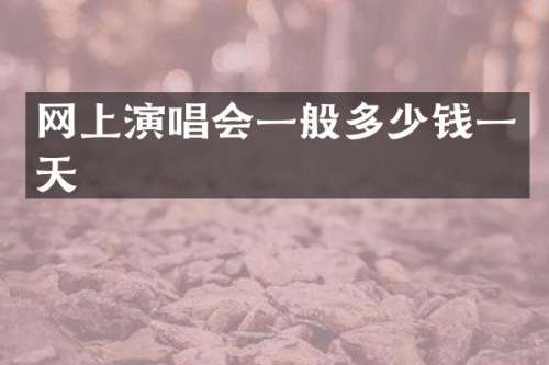 网上演唱会一般多少钱一天