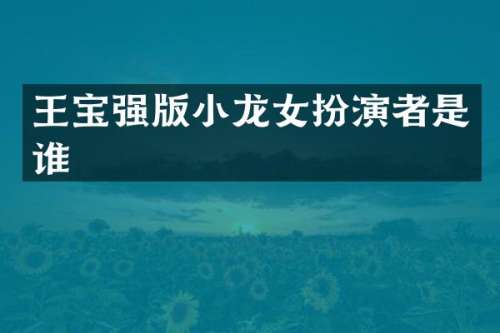 王宝强版扮演者是谁