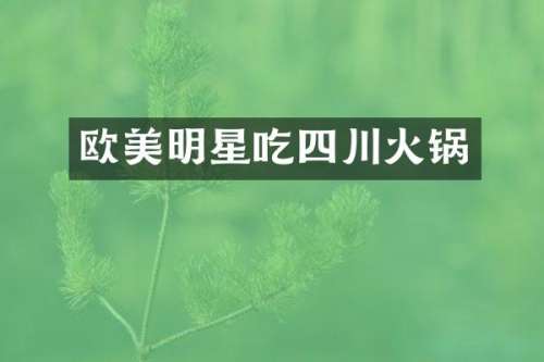 欧美明星吃四川火锅