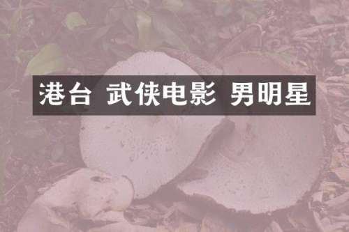 港台 武侠电影 男明星