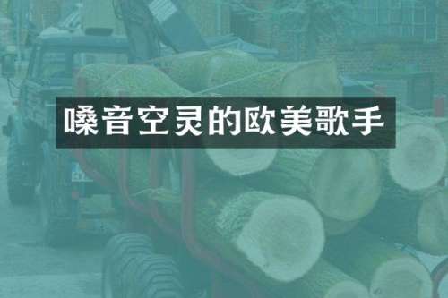 嗓音空灵的欧美歌手