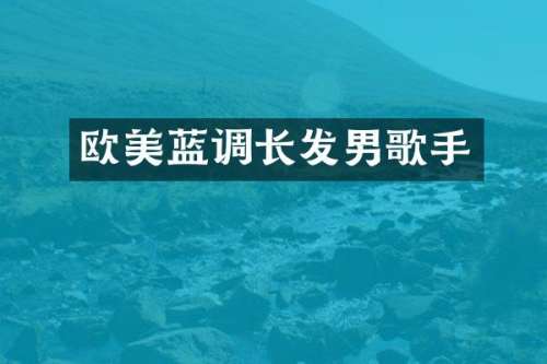 欧美蓝调长发男歌手