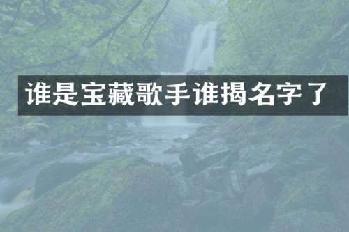 谁是宝藏歌手谁揭名字了