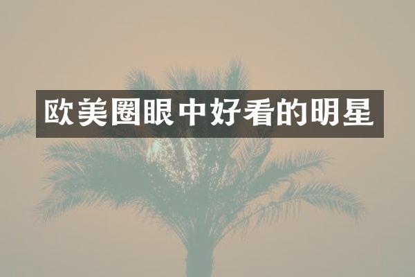 欧美圈眼中好看的明星
