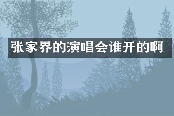 张家界的演唱会谁开的啊