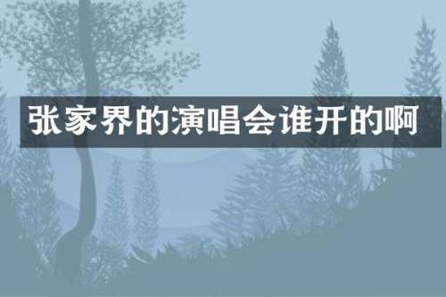 张家界的演唱会谁开的啊