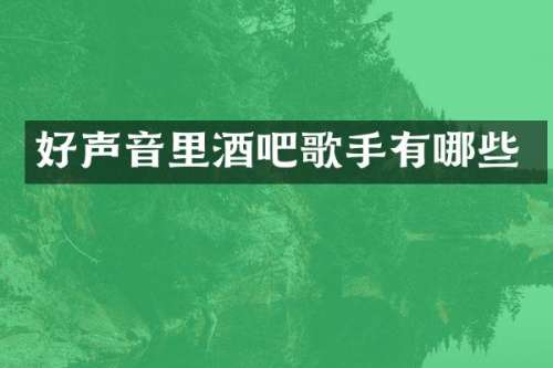 好声音里酒吧歌手有哪些