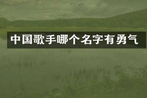 中国歌手哪个名字有勇气