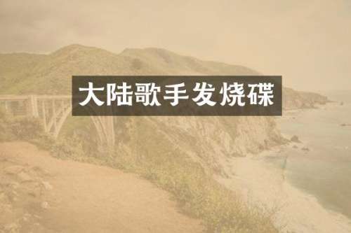 大陆歌手发烧碟
