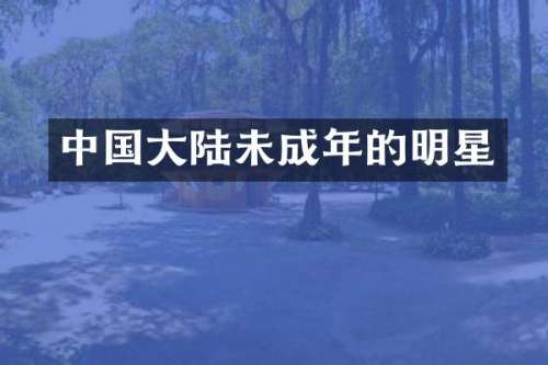 中国大陆未成年的明星