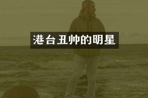 港台丑帅的明星