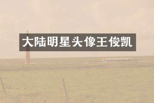 大陆明星头像王俊凯