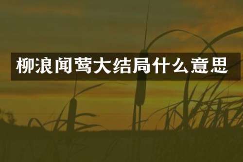 柳浪闻莺大结局什么意思