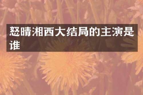 怒晴湘西大结局的主演是谁