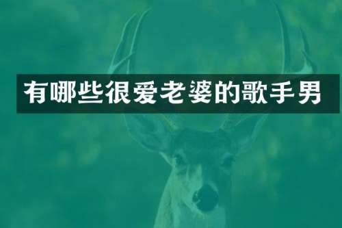 有哪些很爱老婆的歌手男