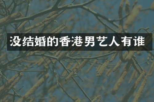 没结婚的香港男艺人有谁