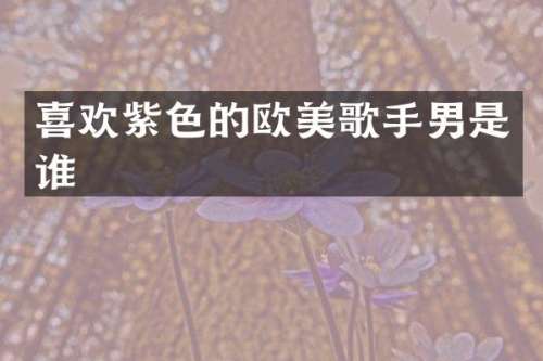 喜欢紫色的欧美歌手男是谁