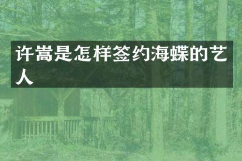 许嵩是怎样签约海蝶的艺人