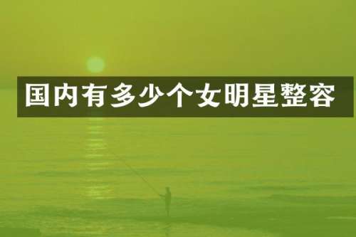 国内有多少个女明星整容