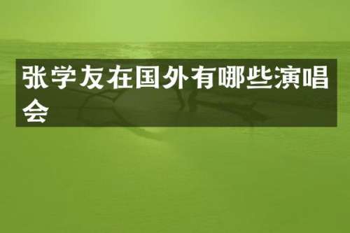 张学友在国外有哪些演唱会