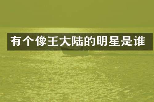 有个像王大陆的明星是谁