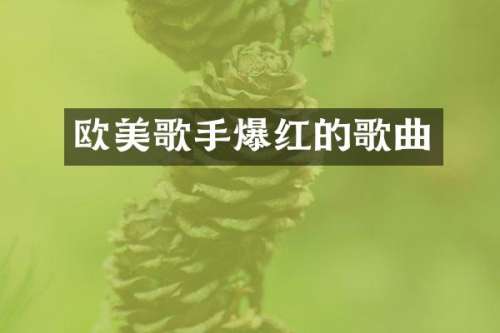 欧美歌手爆红的歌曲