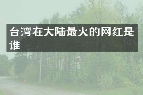 台湾在大陆最火的网红是谁