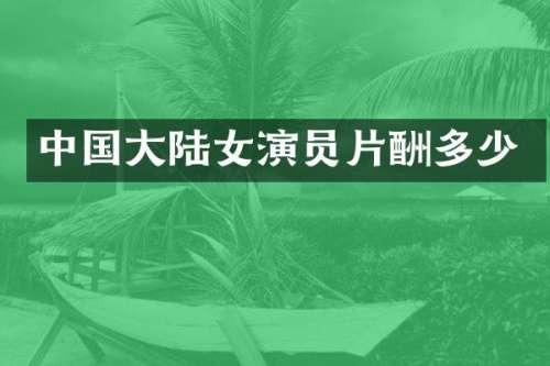 中国大陆女演员片酬多少