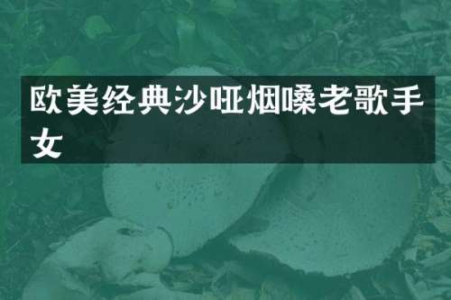 欧美经典沙哑烟嗓老歌手女