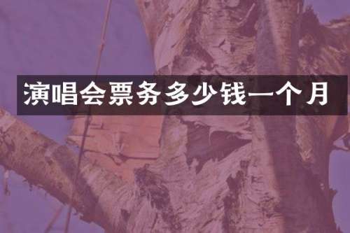 演唱会票务多少钱一个月