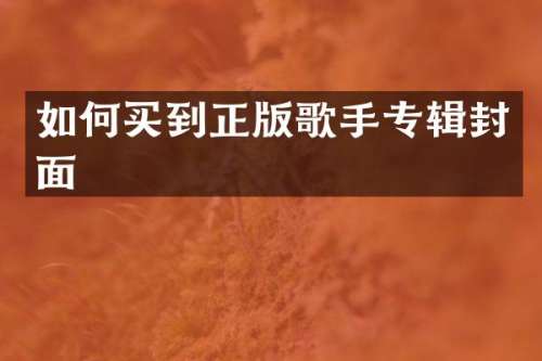 如何买到正版歌手专辑封面
