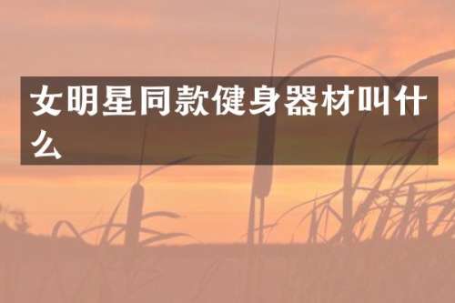 女明星同款健身器材叫什么