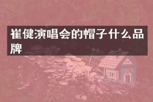 崔健演唱会的帽子什么品牌