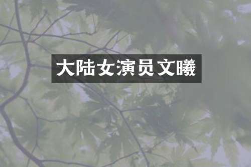 大陆女演员文曦